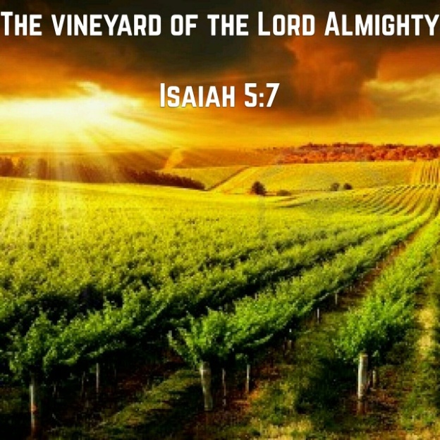 Image result for god's vineyard