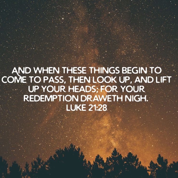 Lift Up Your Head | Unashamed of Jesus